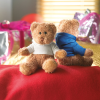 View Image 2 of 6 of Teddy Bear with Hoody