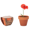 View Image 3 of 3 of Poppy Terracotta Pot