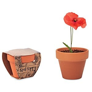 Additional Image 2 - a flower in a pot