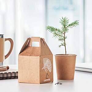 Additional Image 2 - a small plant in a pot next to a box