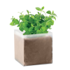View Image 2 of 3 of Mint Seeds Kit