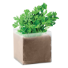 View Image 2 of 3 of Parsley Seeds Kit