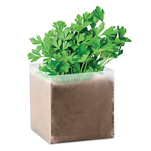 Additional Image 1 - a plant in a pot