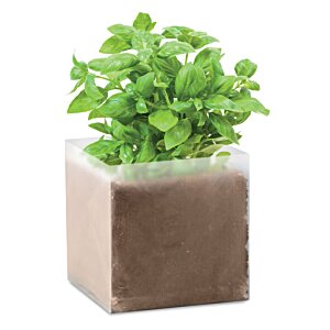 Basil Seeds Kit Image 1 of 2
