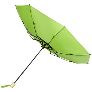 Additional Image 6 - a green umbrella on a white background