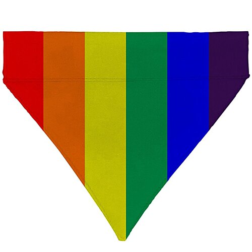 Additional Image 2 - a rainbow flag on a white background