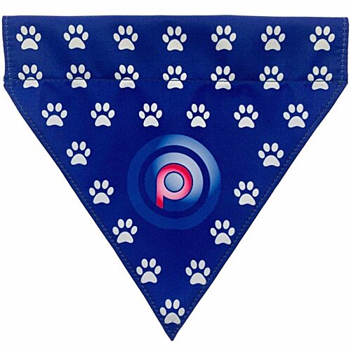 Additional Image 3 - a blue triangle with white dots and a red p