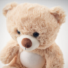 View Image 6 of 6 of Kloss 25cm Teddy Bear