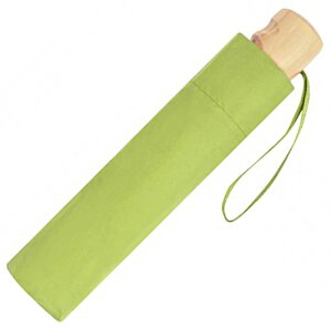 Additional Image 1 - a green umbrella case with a string
