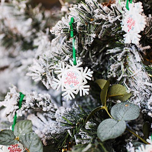 Additional Image 4 - a close up of a tree