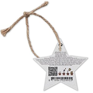Additional Image 1 - a white star tag with brown string
