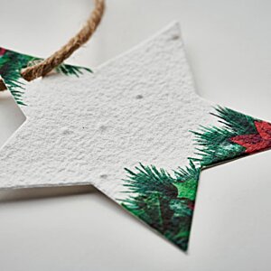 Additional Image 3 - a white star with green and red decorations