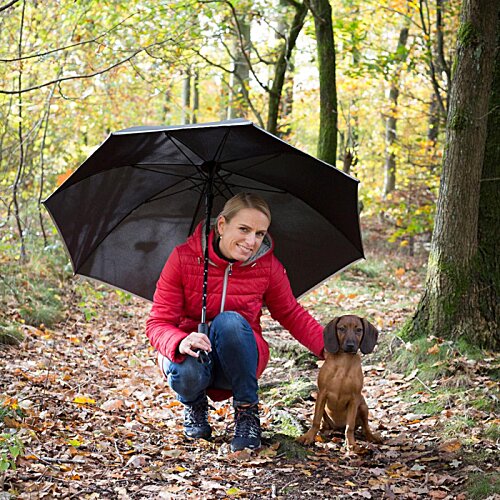Additional Image 10 - a person holding an umbrella and a dog