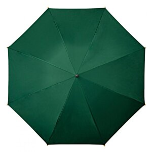 Additional Image 1 - a green umbrella with a red needle