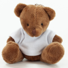 a stuffed bear wearing a white shirt