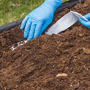 Additional Image 5 - a person wearing blue gloves