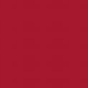 Additional Image 6 - a red square with white text