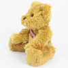 View Image 3 of 3 of 30cm Sparkie Bear with Sash
