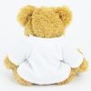 View Image 2 of 3 of 30cm Sparkie Bear with T-Shirt