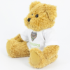 View Image 3 of 3 of 30cm Sparkie Bear with T-Shirt