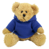 Additional Image 10 - a teddy bear wearing a blue shirt