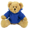 View Image 12 of 12 of 30cm Sparkie Bear with Hoody