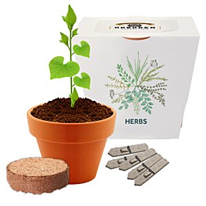 Additional Image 2 - a plant in a pot next to a box