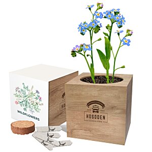 Additional Image 1 - a plant in a pot