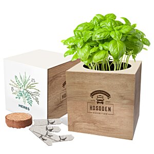 Additional Image 2 - a plant in a pot