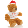 Additional Thumbnail Image 1 - a stuffed bear wearing a santa hat