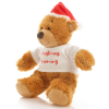 Additional Thumbnail Image 2 - a stuffed bear wearing a santa hat