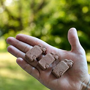 Additional Image 1 - a hand holding small brown objects