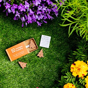 Additional Image 4 - a box of chocolates on the grass