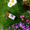 a cigarette pack on the grass