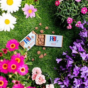 Additional Image 6 - a group of flowers in a garden