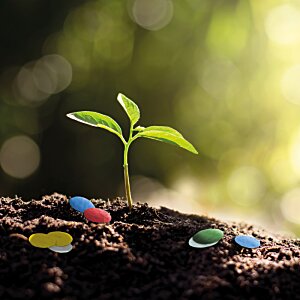 Additional Image 2 - a small plant growing out of the ground