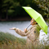 a person holding an umbrella