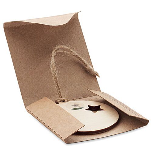 Additional Image 2 - a cd in a brown bag