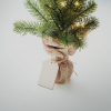 a small christmas tree with a tag