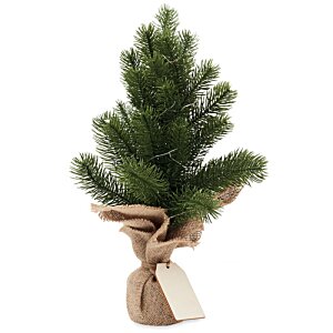 Additional Image 2 - a small tree in a pot