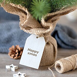 Additional Image 3 - a small bag with a plant in it