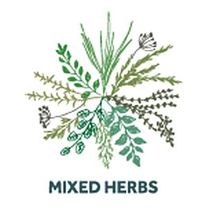 Additional Image 1 - a logo of a plant