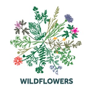Additional Image 2 - a logo of wildflowers