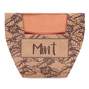 Additional Image 2 - a close up of a box