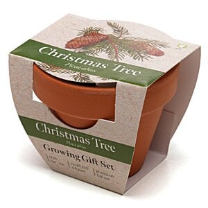 Additional Image 2 - a small brown pot in a package