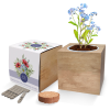 Additional Image 2 - a plant in a box