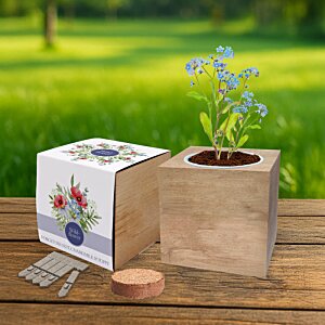 Additional Image 1 - a two boxes with a plant in it