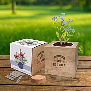 Additional Image 3 - two boxes with a plant in it