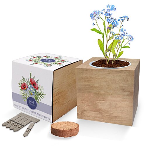 Additional Image 2 - a plant in a box