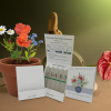 Additional Image 4 - a group of cards and a plant in a pot